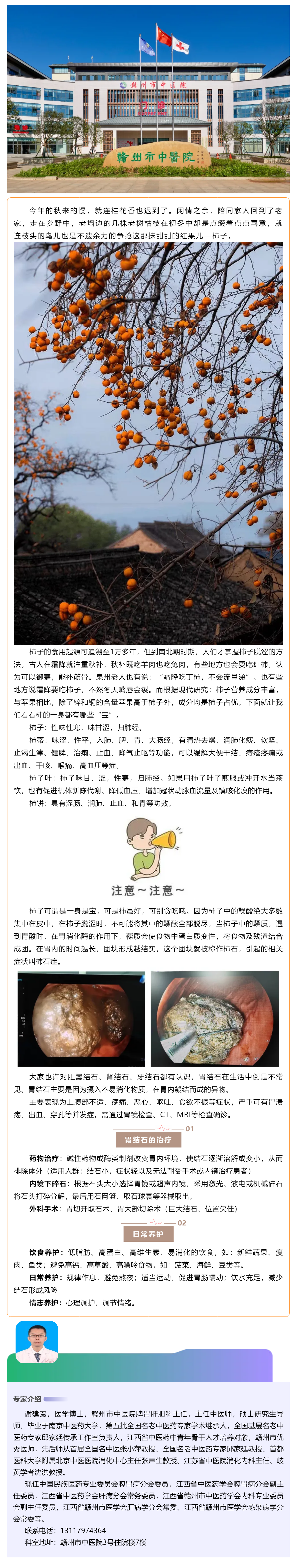 【科普】多“柿”之秋，愛吃柿子的你，小心胃石癥.png